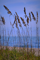 2019 Feb - Ormond & Vero Beaches, FL