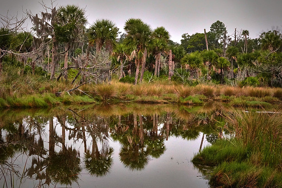 Bulow Creek, Ormond Beach, FL