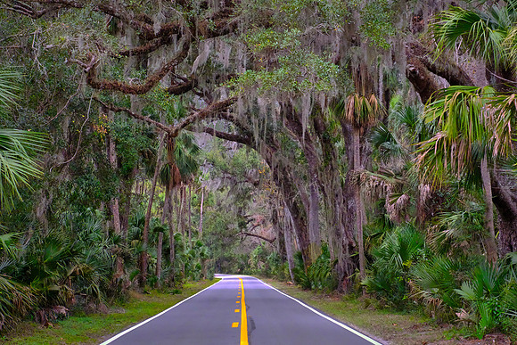 On the road to Flagler Beach Pier, FL