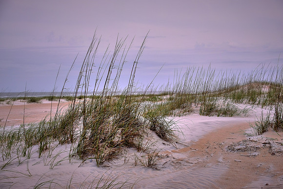 Anastasia State Park, St. Augustine, Florida
