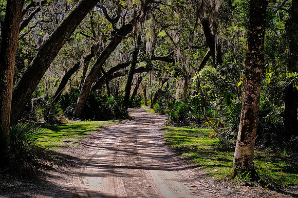 Princess Place Preserve, Marineland, Florida