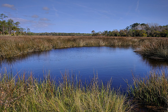 Princess Place Preserve, Marineland, Florida