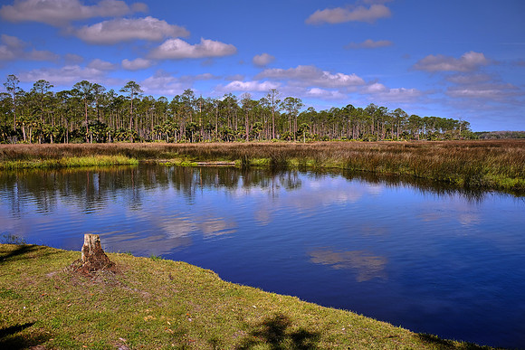 Princess Place Preserve, Marineland, Florida