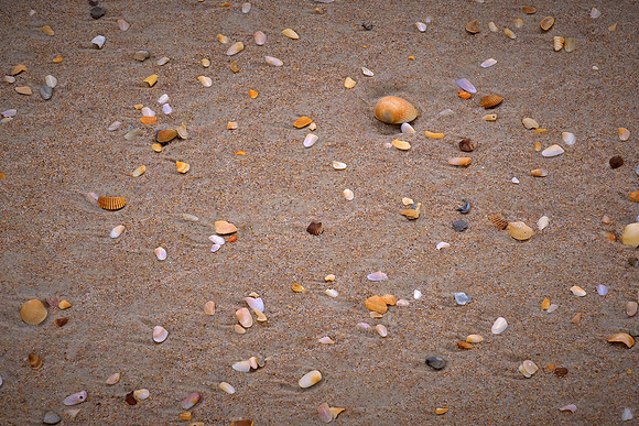 Anastasia State Park, St. Augustine, Florida