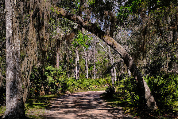 Princess Place Preserve, Marineland, Florida