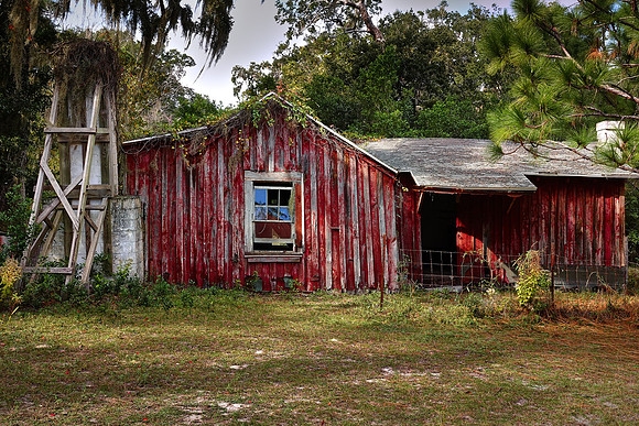 Tenant house near the First African Baptist Church, Cumberland Island