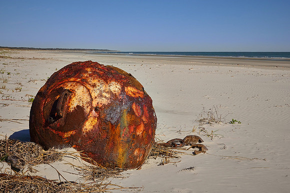 Beach region, Cumberland Island