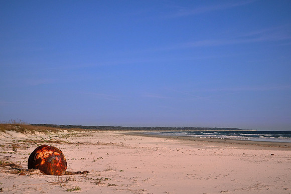 Beach region, Cumberland Island