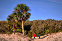 2018 Dec - Cumberland Island, GA