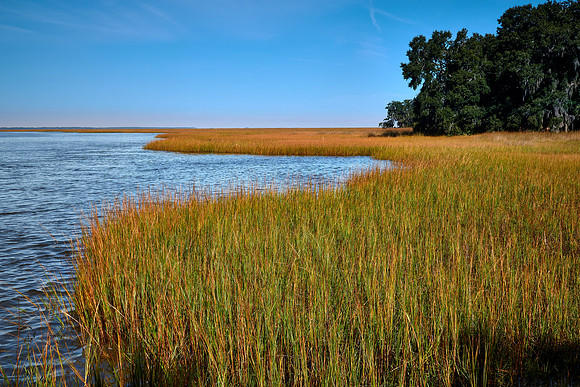 Coastal region, Cumberland Island