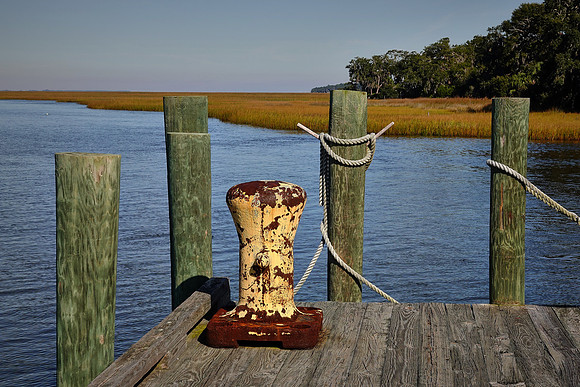 Coastal region, Cumberland Island