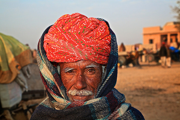 Nagaur Camel and Livestock Fair, Nagaur, Rajasthan