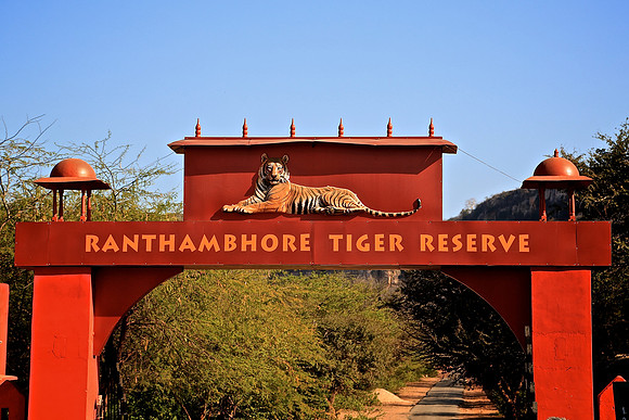 Ranthambhore Tiger Reserve