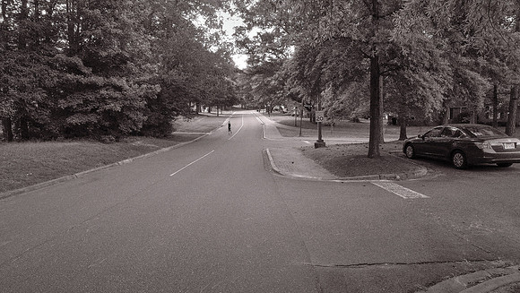 Davidson: The Walk