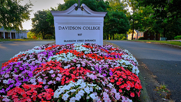 Davidson: The Walk