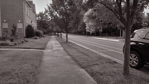 Davidson: The Walk