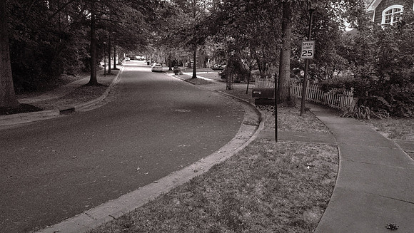 Davidson: The Walk