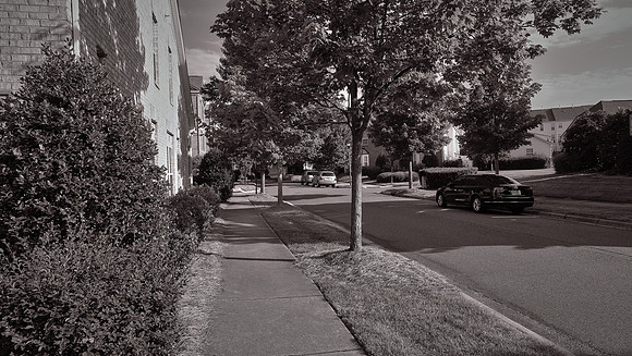 Davidson: The Walk