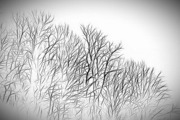 Bull Gap, Blue Ridge Parkway, NC