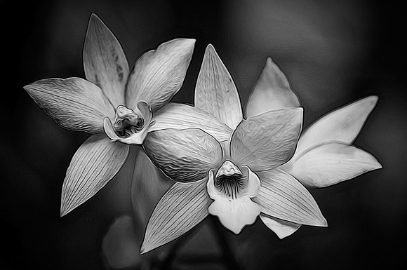 Daniel Stowe Botanical Garden, Belmont, North Carolina
