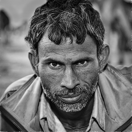 Camel Driver, Nagaur, Rajasthan, India