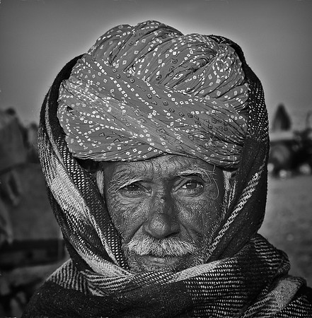 Camel Driver, Nagaur, Rajasthan, India