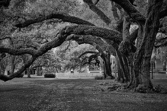 Antebellum plantation, Louisiana