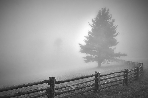 Blue Ridge Parkway, North Carolina