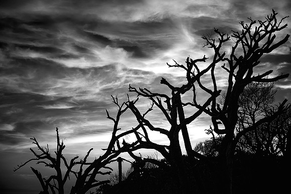 Botany Bay Plantation, Edisto Island, South Carolina