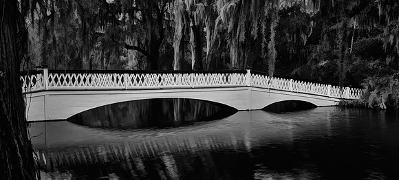 Magnolia Plantation and Gardens, Charleston, South Carolina