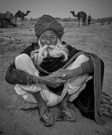 Camel Driver, Nagaur, Rajasthan, India