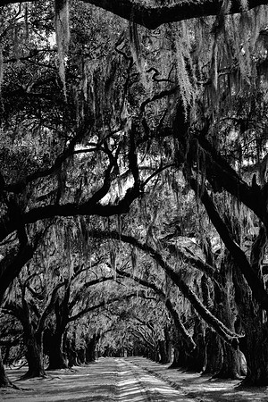 Tomotley Plantation, Beaufort, SC