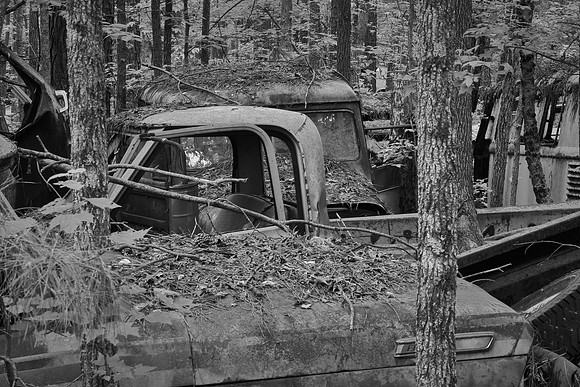Old Car City, White, Georgia in Black and White