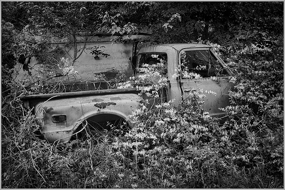Old Car City, White, Georgia in Black and White