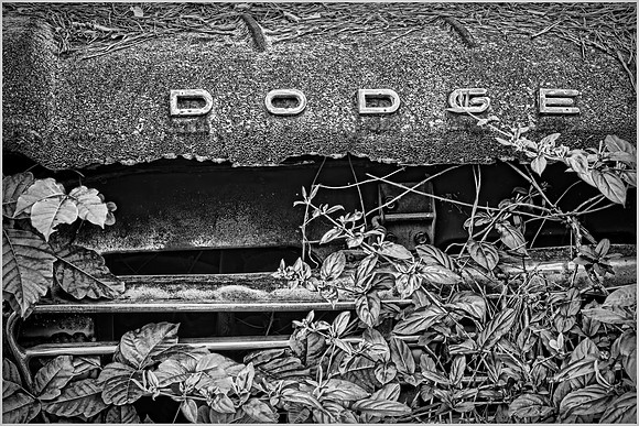 Old Car City, White, Georgia in Black and White