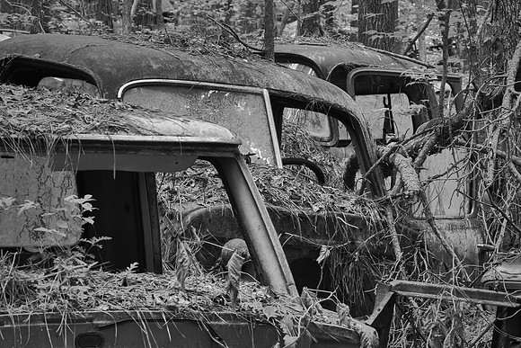 Old Car City, White, Georgia in Black and White