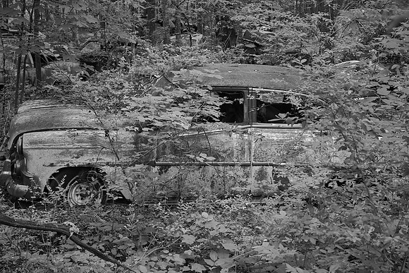 Old Car City, White, Georgia in Black and White