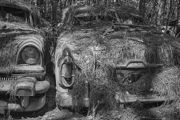 Old Car City, White, Georgia in Black and White