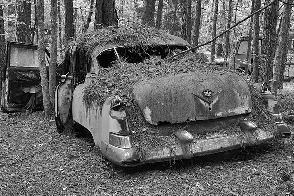 Old Car City, White, Georgia in Black and White