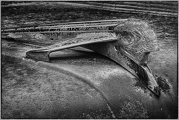 Old Car City, White, Georgia in Black and White