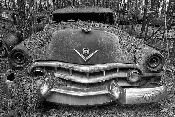 Old Car City, White, Georgia in Black and White