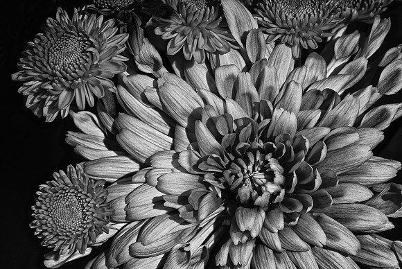 Naramore Flowers