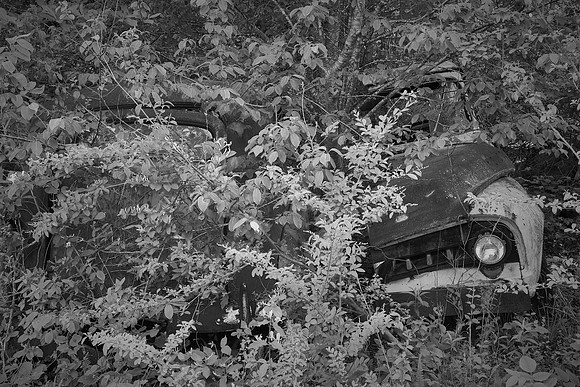 Old Car City, White, Georgia in Black and White