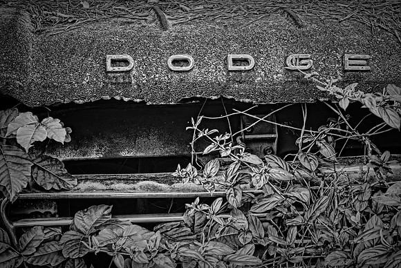 Old Car City, White, Georgia in Black and White