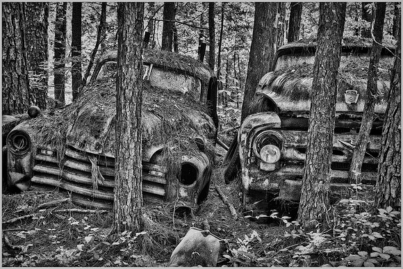 Old Car City, White, Georgia in Black and White