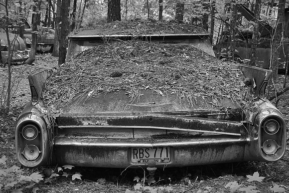 Old Car City, White, Georgia in Black and White