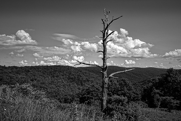 On the road to Luray Caverns through Shenandoah National Park, VA
