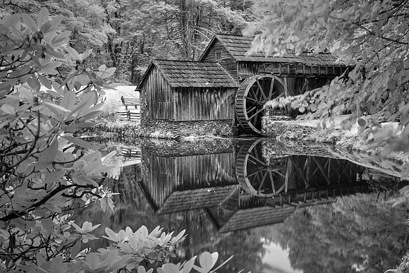 Blue Ridge Parkway in Infrared