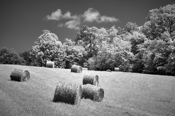 Blue Ridge Parkway in Infrared