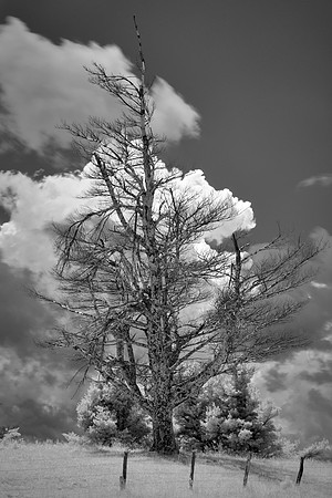 Blue Ridge Parkway in Infrared